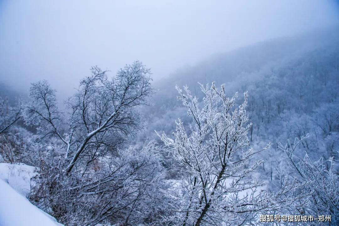 魔狐泡泡龙